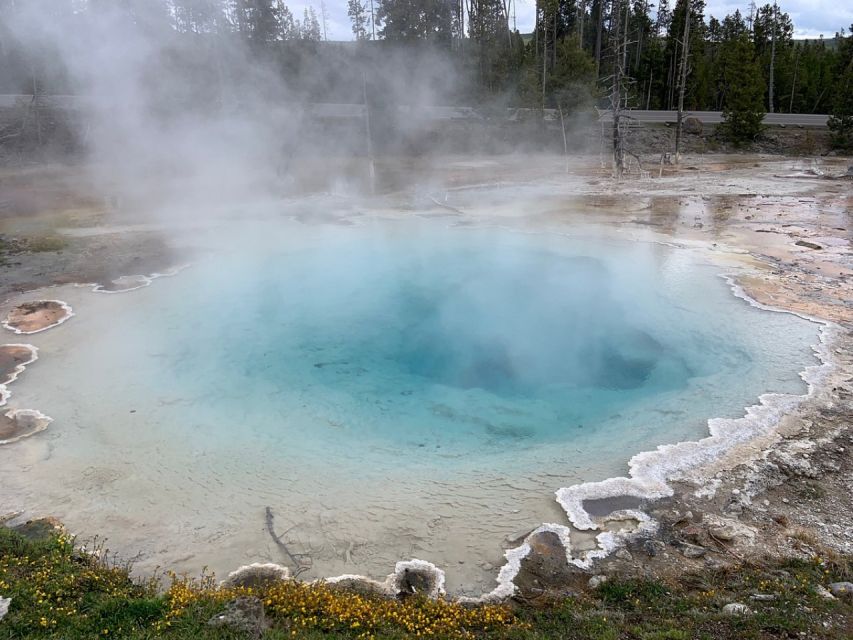 From Jackson: Yellowstone National Park Day Trip With Lunch - Tour Details