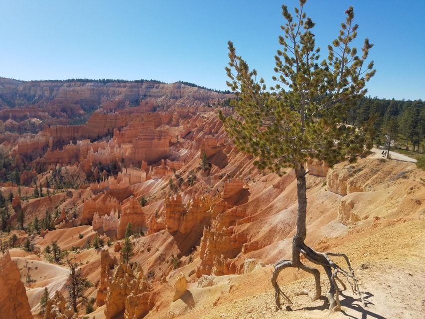 From Las Vegas: Zion and Bryce Canyon Guided Day Tour - Tour Itinerary Highlights