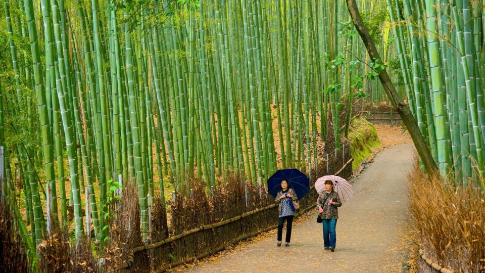 From Osaka: Fushimi Inari Shrine, Kyoto, and Nara Day Trip - Tour Duration and Guide Availability