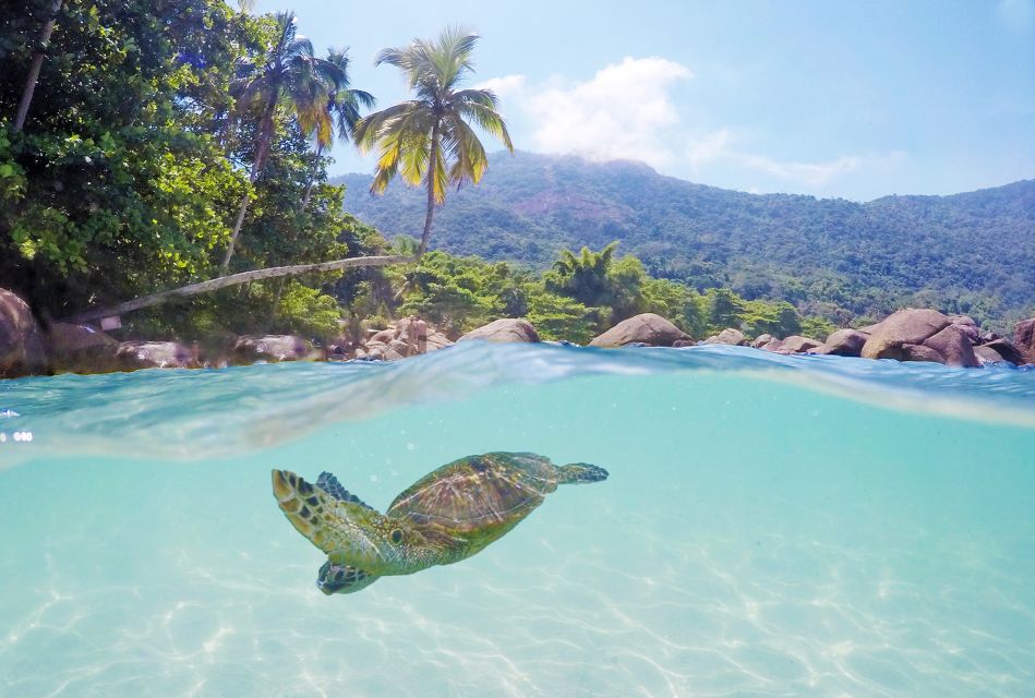 From Paraty: Shuttle To/From Abrãao Village on Ilha Grande