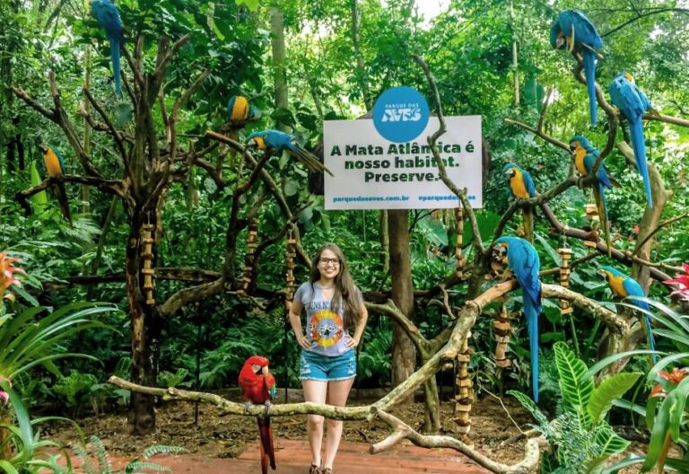 From Puerto Iguazú: Brazilian Bird Park Tour With Tickets