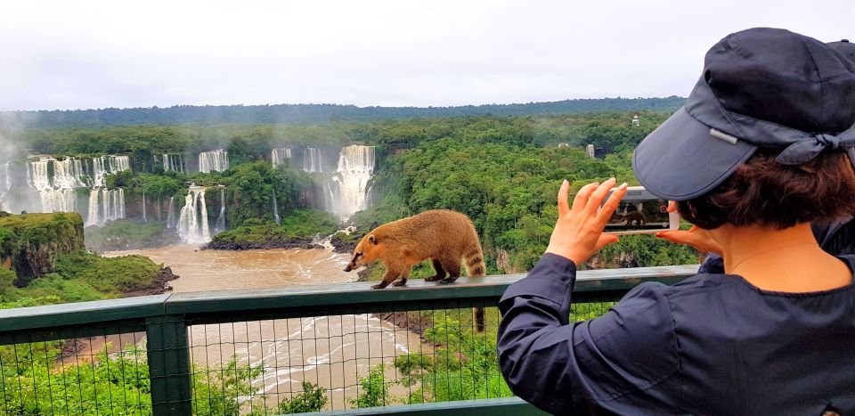 From Puerto Iguazu: Brazilian Falls With Boat Adventure