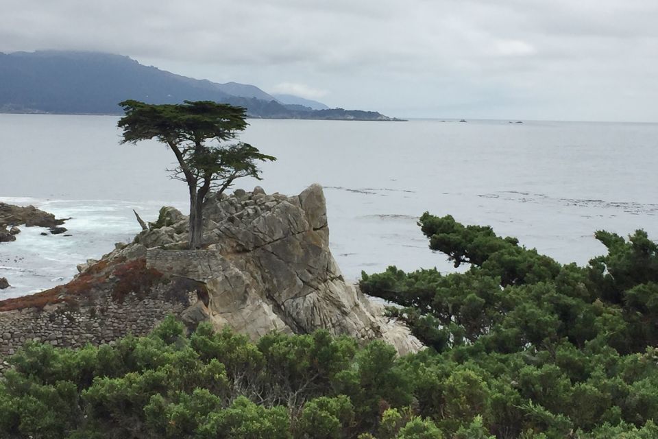From San Francisco: Carmel, Monterey & Big Sur Private Tour - Tour Duration and Cancellation Policy