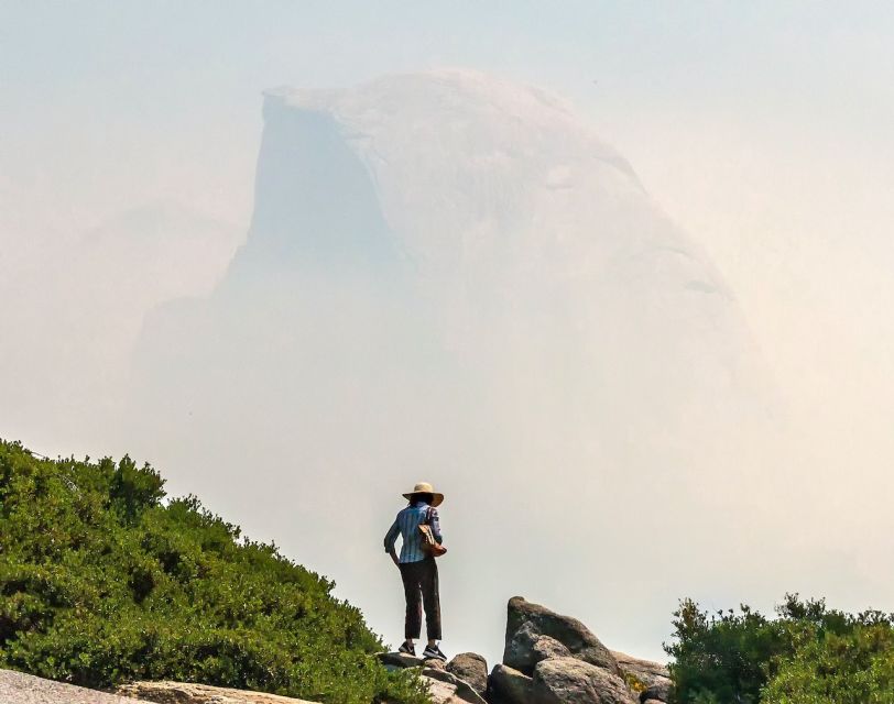 From San Francisco: Day Trip to Yosemite National Park