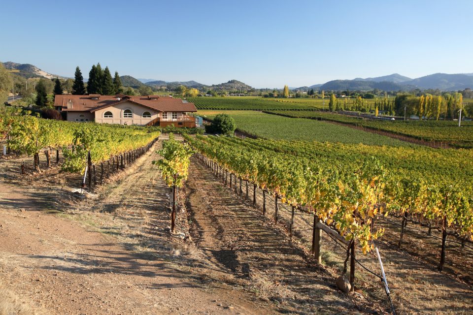 From San Francisco: Napa Valley Private Tour - Experience Highlights