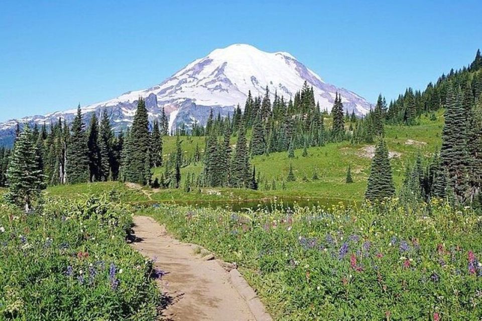 From Seattle: Full-Day Mt Rainier National Park Private Tour