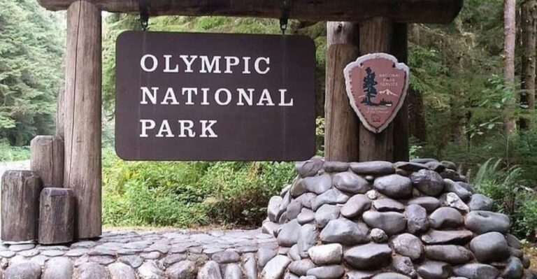 From Seattle: Olympic National Park Full Day Tour