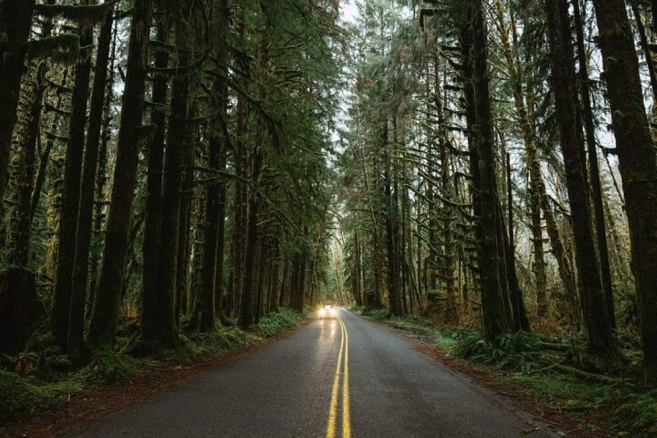 From Seattle: Twilight Forks Washington Tour - Itinerary Overview
