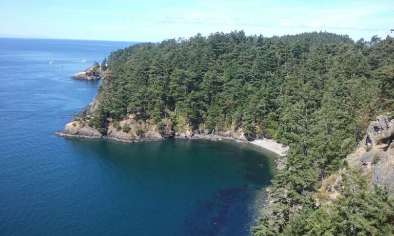 From Seattle: Whidbey Island and Deception Pass Private Tour