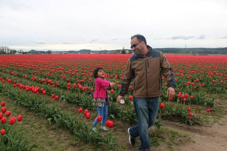 From Seattle:Tulip Festival at Skagit Valley and La Conner
