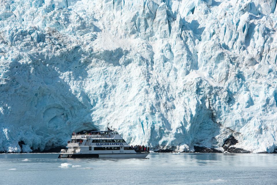From Seward: Kenai Fjords National Park Cruise With Lunch - Cruise Overview