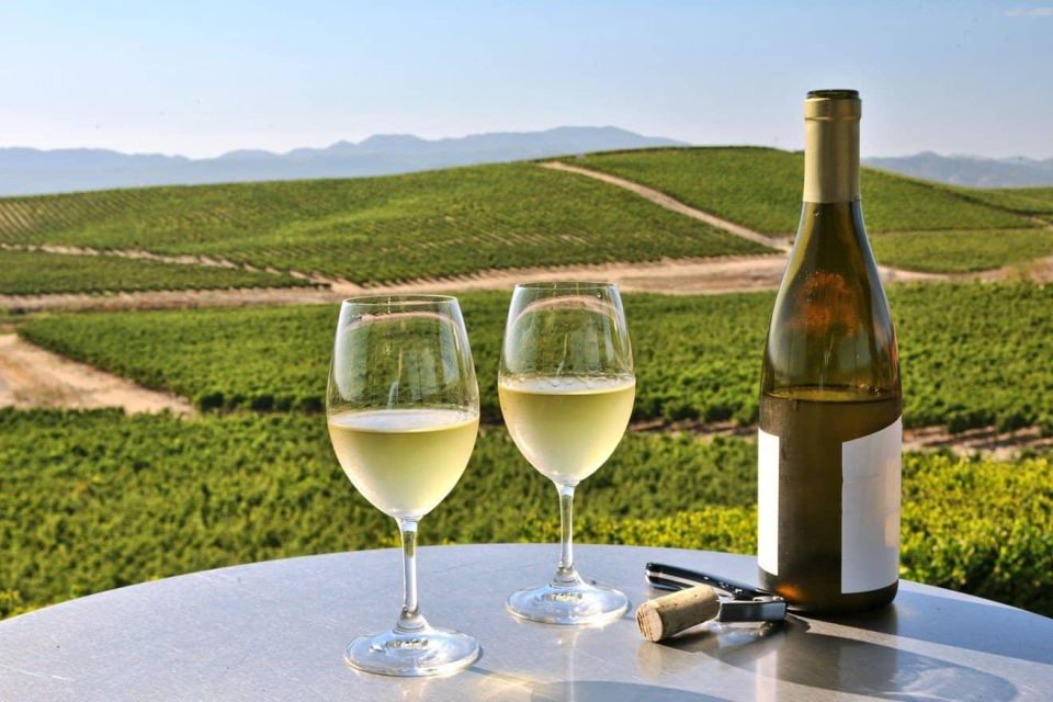 From SFO - Enchanted Napa & Sonoma Wine Tour in SUV - Booking and Tour Details