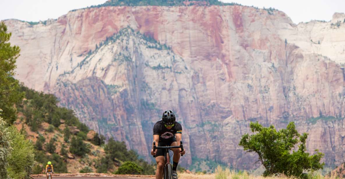 From Springdale: Zion National Park Bike Tour - Full Description