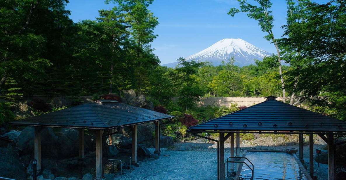 From Tokyo: Mount Fuji Day Trip With Yamanakako Hot Springs - Tour Overview