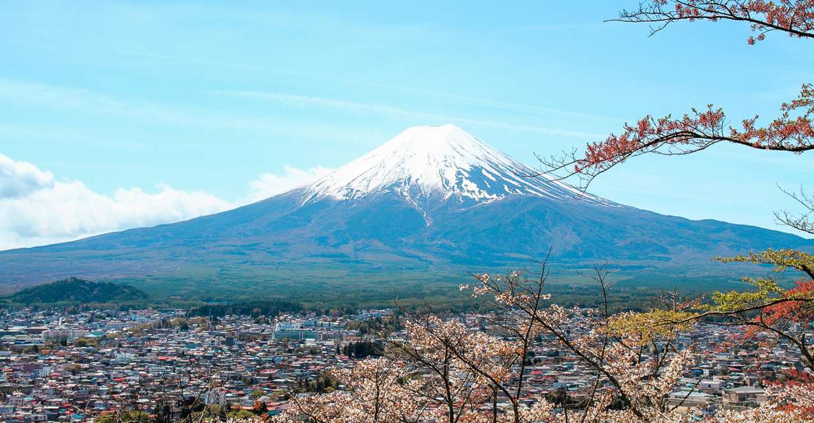 From Tokyo: Mt. Fuji Full-Day Sightseeing Trip - Trip Overview