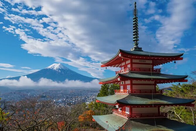 From Tokyo: Mt. Fuji Sightseeing Private Tour With English Guide - Tour Highlights