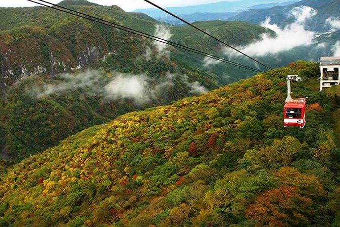 From Tokyo: Nikko Private 1-Day Sightseeing Trip With Guide