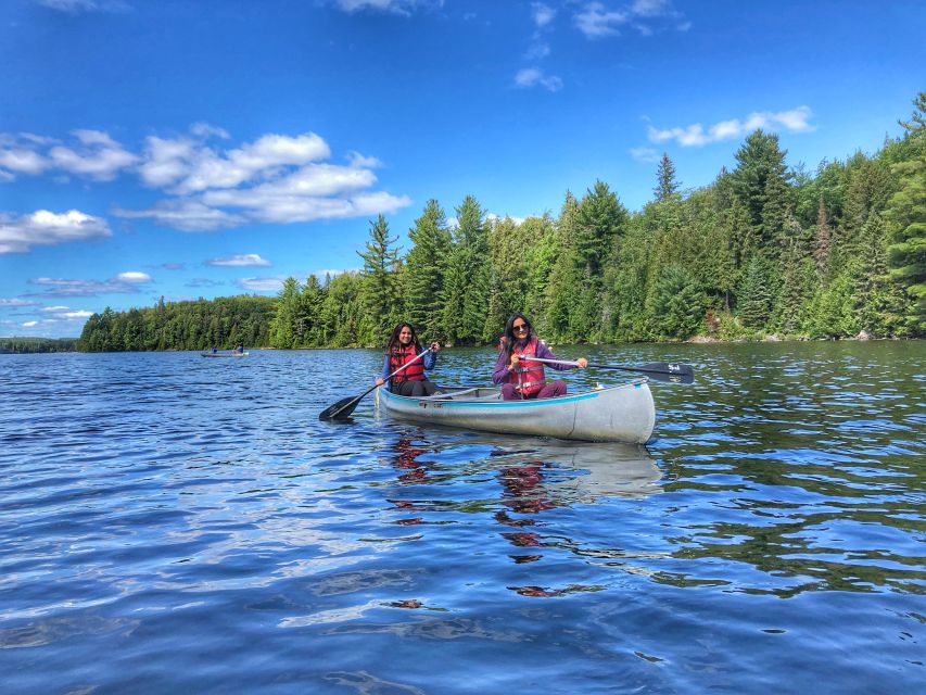 From Toronto: Algonquin Park Hiking Adventure Tour - Activity Details