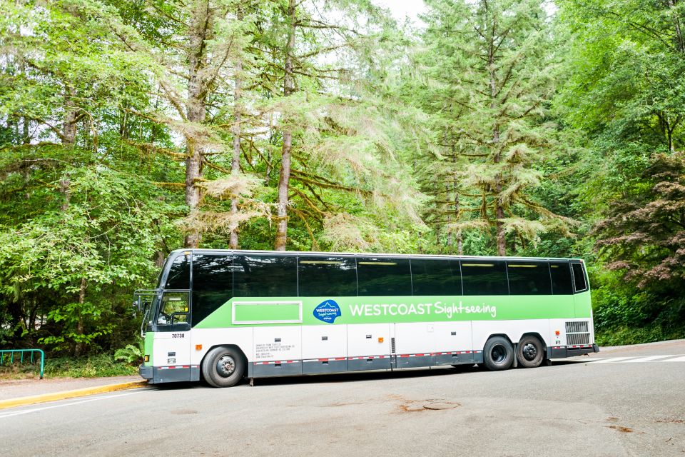 From Vancouver: Grouse Mountain & Capilano Suspension Bridge - Activity Highlights