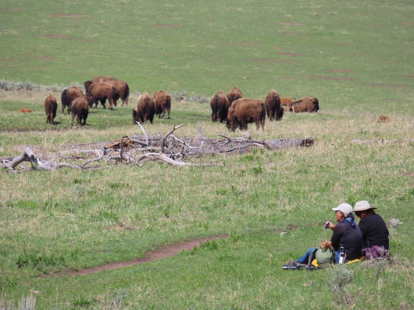 From West Yellowstone: Lamar Valley Wildlife Tour by Van - Tour Duration and Flexibility