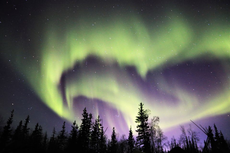 From Yellowknife: Northern Lights Bus Tour With Photos