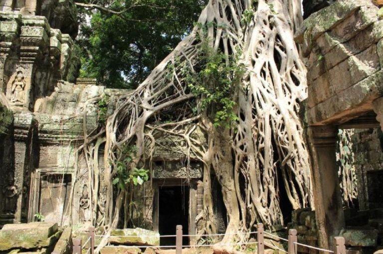 Full-Day Angkor Wat Sunrise Private Tour by Tuk Tuk
