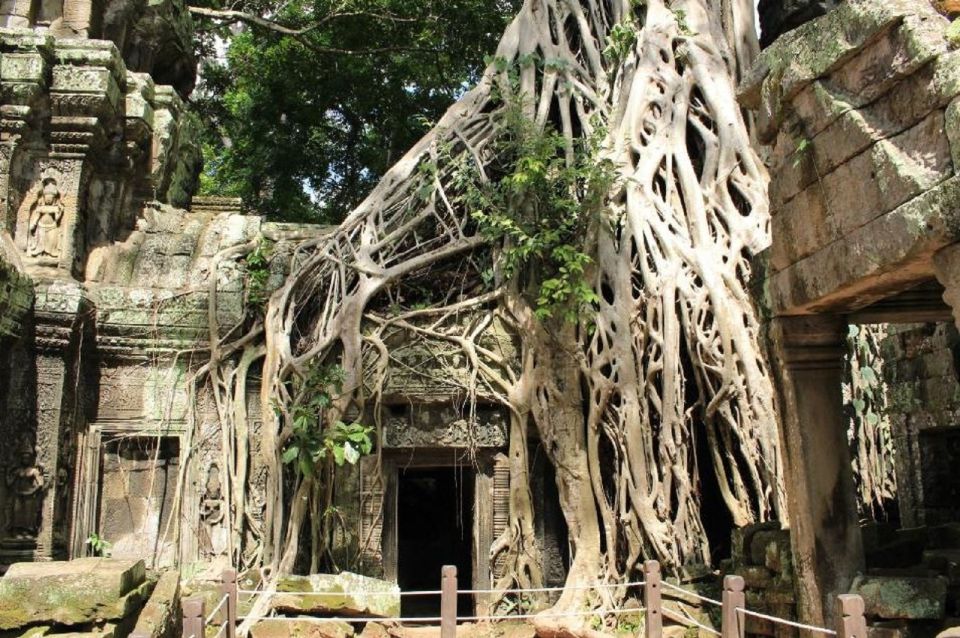 Full-Day Angkor Wat Sunrise Private Tour by Tuk Tuk - Tour Details and Logistics