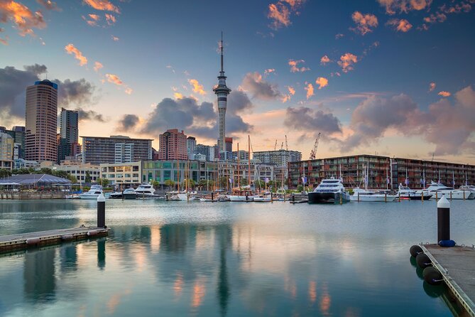 Full-day Auckland City & Rainforest Tour by Car
