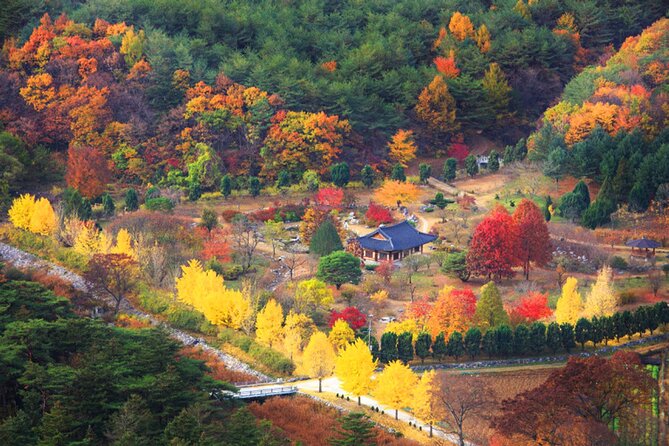 Full-Day Autumn Tour From Busan to Unmunsa Bhikkhuni Temple