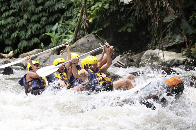 Full-Day Ayung River White Water Rafting and Ubud Tour