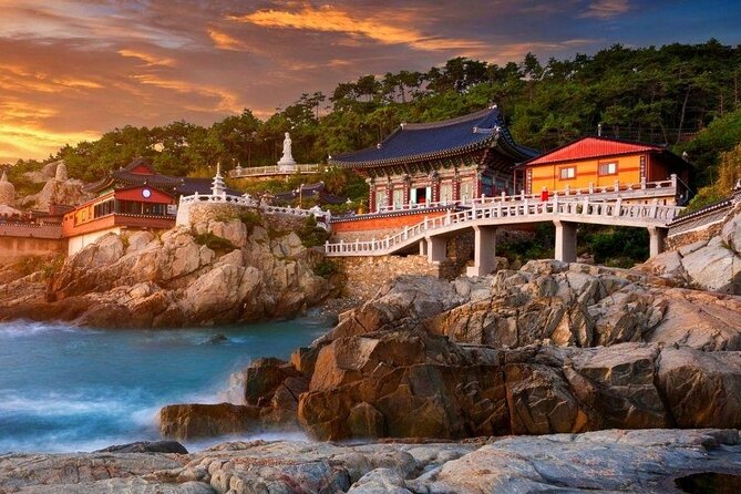 Full-Day Busan Highlights Private Guided Tour