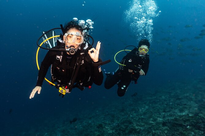 Full-Day Discover Scuba Diving Tour for Beginners in Tulamben