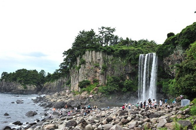 Full Day Essential Jeju Island Private Tour for West Course