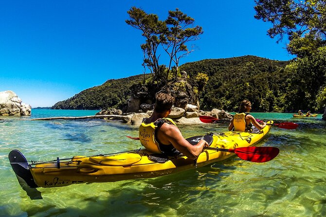 Full-Day Freedom Kayak Rental in New Zealand
