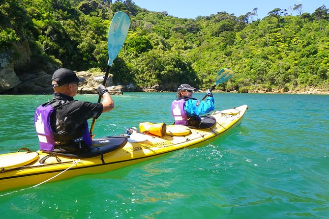 Full-Day Guided Sea Kayak Trip From Picton