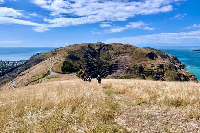 Full Day Guided Walking Tour and Picnic on Banks Peninsula