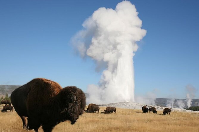 Full-Day Guided Yellowstone Day Tour - Tour Itinerary