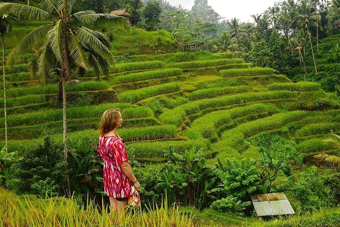 Full-Day in Bali: Private Design-Your-Own Tour - Tour Inclusions
