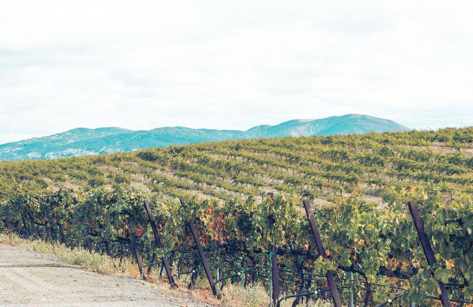 Full-Day Inclusive Wine Tasting Tour From Santa Barbara - Tour Details