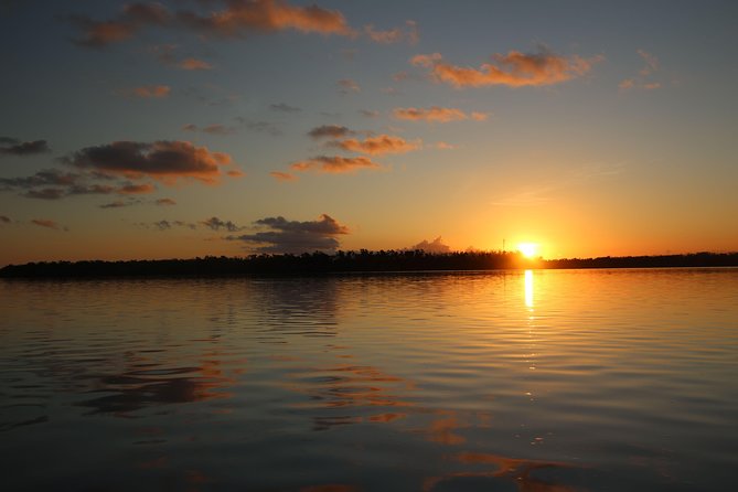 Full-Day Kayak Adventure in the Everglades - Tour Highlights