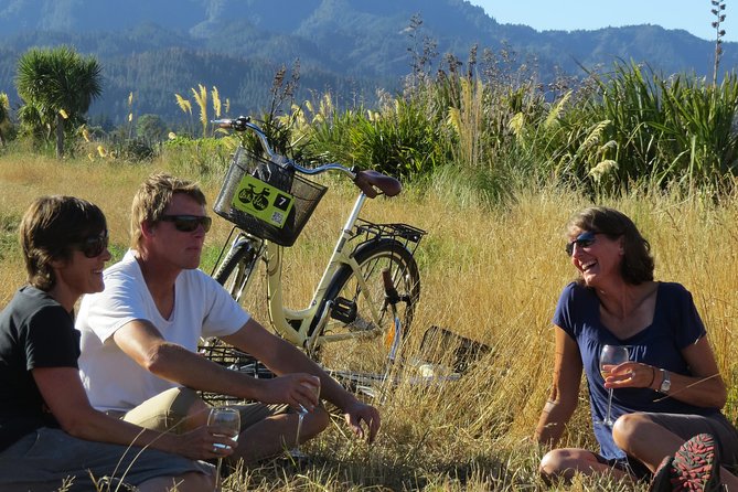 Full-Day Marlborough Wine Region Bike Hire