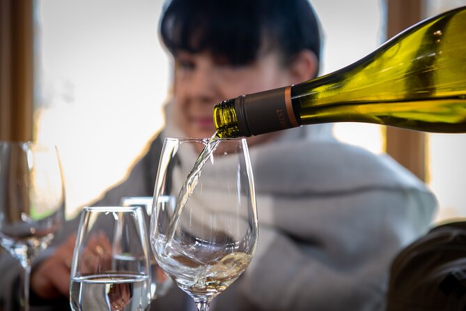 Full-Day Marlborough Wine Tour Including Wine Tasting