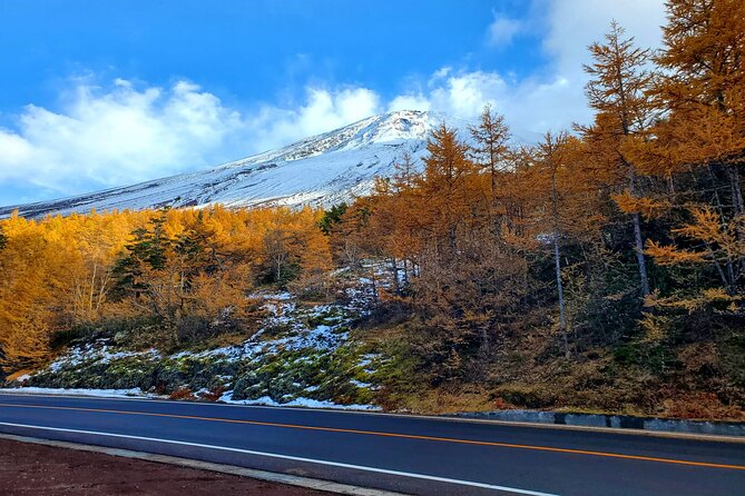Full Day Mount Fuji Private Tour With English Speaking Guide - Itinerary Highlights