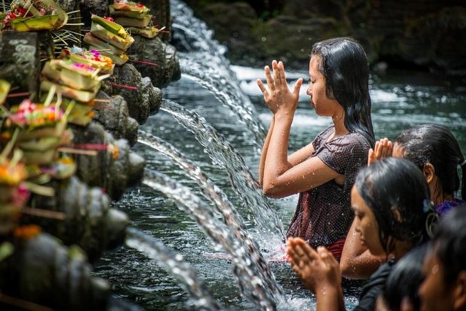 Full-day Private Cultural Tour of Ubud in Bali - Tour Inclusions
