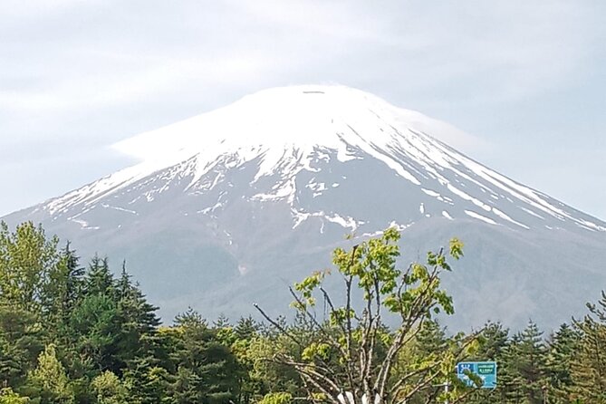 Full-day Private Exploration in Mount Fuji - Service Details