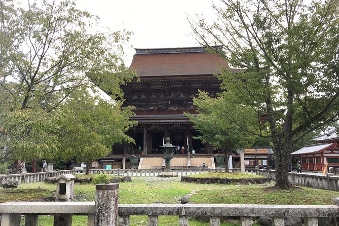 Full-Day Private Guided Tour in a Japanese Mountain: Yoshino, Nara - Tour Overview