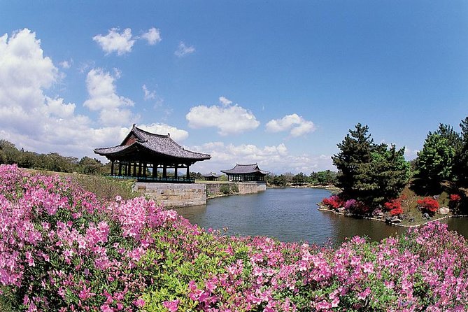 Full Day Private Gyeongju UNESCO Heritage Tour : a Glimpse Into Silla
