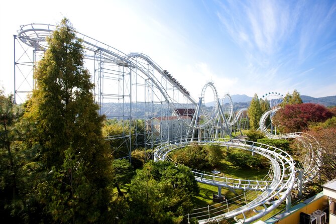 Full Day Private Tour Everland Theme Park