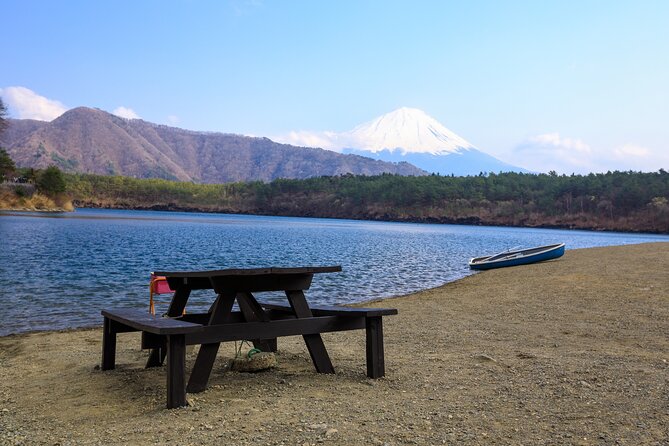Full Day Private Tour Mt. Fuji, Hakone and Lake Ashi - Tour Highlights
