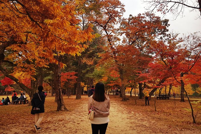 [ Full Day Private Tour ] Nami Island and Petite France